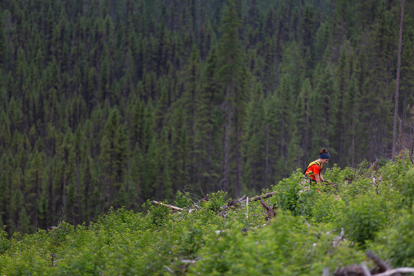 : Conscious Shopping Experience - Planting trees with each purchase.